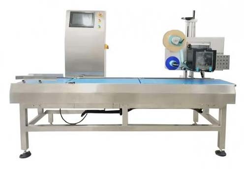 Bubble Film Sealing Machine Automatic Packaging Labeling Machine 220V