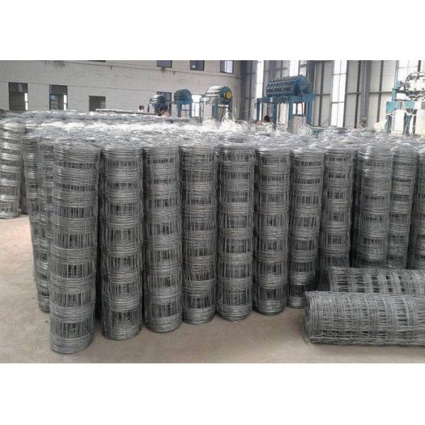 Protection Electro Galvanized Steel Cattle Fence , Deer / Grassland Wire Fence