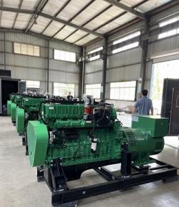 China Industrial Backup Emergency 250KW 300KVA Natural Gas Powered  Electric Generator Set factory