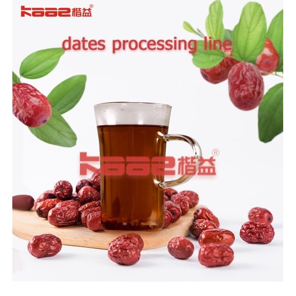 Dates Processing Machines Date Cleaning And Dryer Machine Dates Processing Line