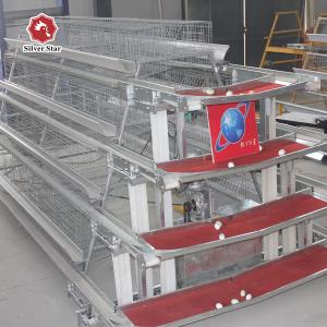 China Hot And Cold Galvanized Battery Cage System In Poultry factory