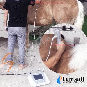 China Radial ESWT Equine Veterinary Shockwave Therapy Machine on sale