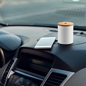 Mini Waterless Bamboo Fragrance Diffuser For Car