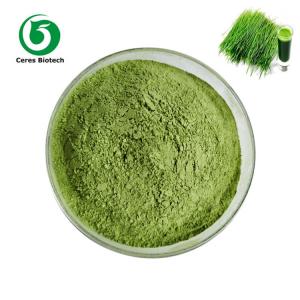 China Concentrate Type Organic Wheatgrass Powder Food Supplement factory