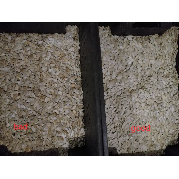 Peanut Rosehip Optical Pumpkin Seed Color Sorter WiFi Remote Control