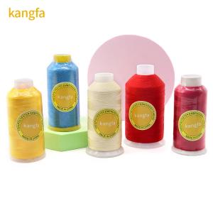 4000 Yard 120D/2 Filament Polyester Thread for Embroidery Machine 720 Dyed