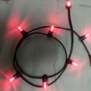 China 12v low power led clip light 100m/roll christmas lights led string Lights red rice strings 666 bulbs factory