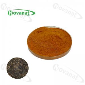 China Good Water Soluble Instant Tea Extract Powder Pu Er Tea Powder 20% Polyphenols on sale