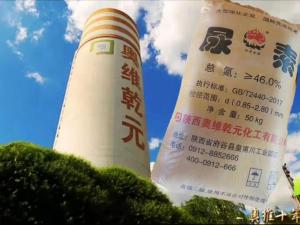 China Urea SNCR Flue Gas Denitrification Project In Coal Power Plant on sale