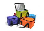 Full Color Printing 6 Can Cooler Bag , Beer Large Insulated Cooler Bags