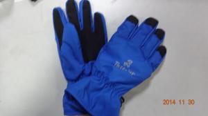 China Ski glove,winter glove, hand glove factory
