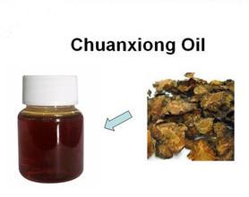 China Ligusticum Chuanxiong Oil/plant essence oil/Lovage Root Oil on sale