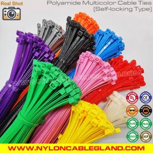 China Eco-Friendly Heavy Duty Nylon PA Plastic Cable Ties (Cable Straps / Tie Straps) for Wire Management factory