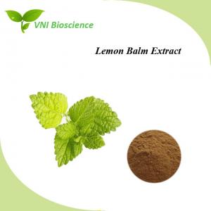 China Leaf Natural Plant Extracts Antimicrobial Lemon Balm Extract factory
