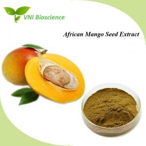 China Pure African Mango Seed Extract Powder Dietary Fibre Anti Diabetic factory