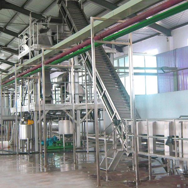 Ce Standard Peach Apricot Fruit Processing Equipment