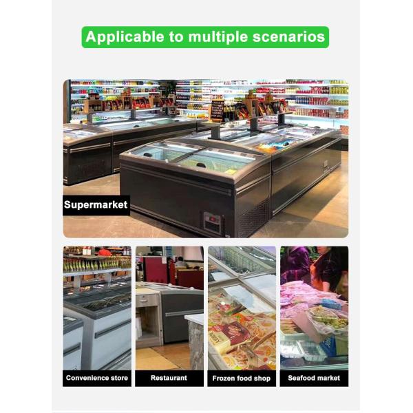 Low E Glass Door Chest Island Commercial Display Freezer For Fish 650w