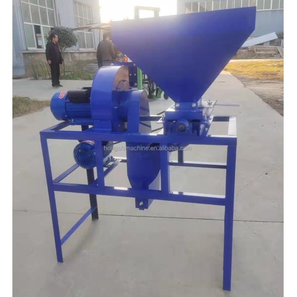 Camellia Seed Shelling Sorting Automatic Food Processing Machine Commercial