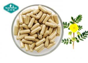 China Natural Tribulus Terrestris Extract 500mg Capsules for Strength and Performance on sale