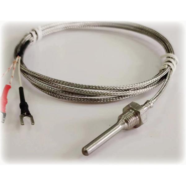 2 Wire Type PT100 Temperature Sensor 0.5mm - 10mm Diameter