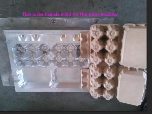 China Plastic egg tray forming mold and transfering mold/egg box forming mold factory