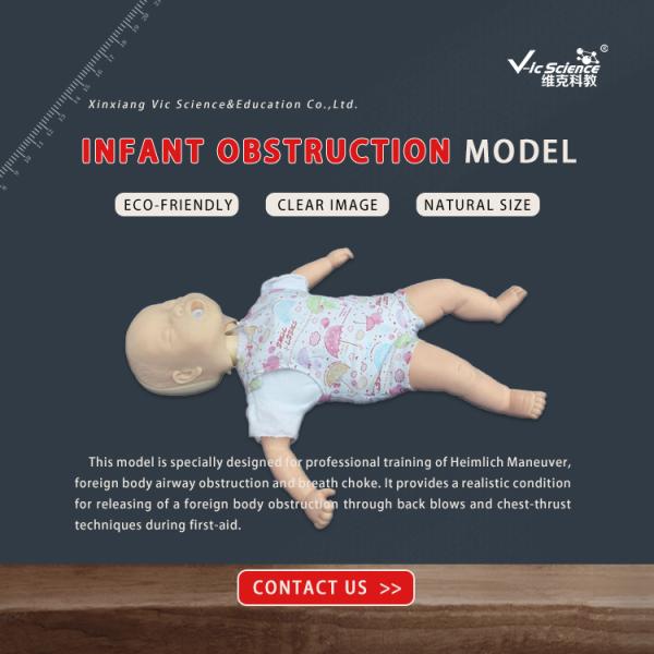 Infant Obstruction Model CPR Training Nursing Manikins Eco Friendly PVC
