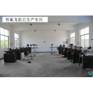 Golden Coral Technology Ltd.