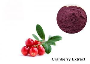 China Cranberry Fruit Purple Red 25% Anthocyanin Extract Powder factory