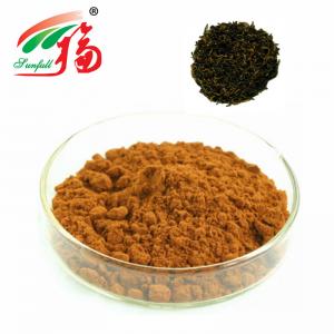 China Anti Oxidant Black Tea Extract 30% Theaflavins For Intermediate Of Medicine factory