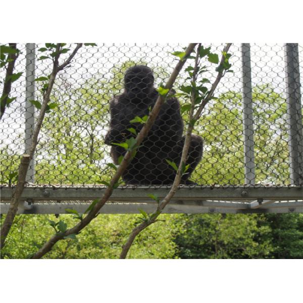 316 316L Stainless Steel Flexible Wire Mesh Netting 3.0mm For Bird Aviary