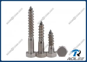 China 304/316/A2/A4 Stainless Steel Hex Wood Screw / Lag Bolt on sale
