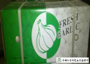 China HACCP / GAP Standard Chinese Garlic 4.5 / 5.0 Cm Size Own Plantation factory