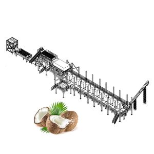 China Automatic Control Coconut Milk Processing Plant / 4000LPH Fruit Processing Plants on sale