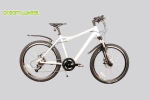 China 32km/H Pedal Assist Electric Mountain Bike 36V Lithium Battery Hide In Frame Tube factory