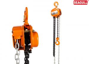 China Heavy duty Hand manual chain hoist 5 ton Cap Lift 3m small chain hoist factory