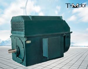 China 941 Rpm 400kw to 6000kw 3 Phase Induction High Voltage Electric Motors 6kv factory