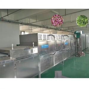 China The Cheapest Drying Tunnel industrial vacuum dryer For Food Microwave Drying Machine factory