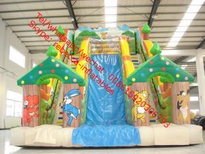 China inflatable water slide clearance inflatable water slide for kids and adults factory