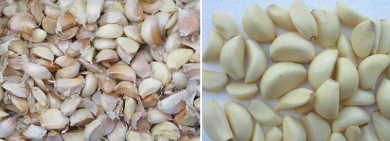 Automatic Garlic Peeling Machine for Sale