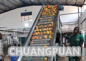 China Turn Key PLC Control 1-20T/H Mango Pulp Production Line 220V 380V 440V factory