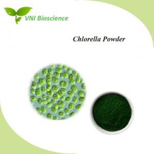 China Healthy Nature Food Additive Antibiotic Plant Chlorella Powder factory