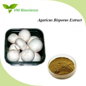China Mushroom Organic Plant Extracts Anti Tumor Agaricus Bisporus Extract factory