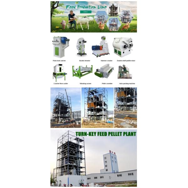Cattle Feed Manufacturing Machine Feed Granule Making Machine For Poultry