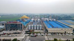 China Rotate Extractor Palm Oil Extraction Equipment 200 - 500TPD Capacity on sale