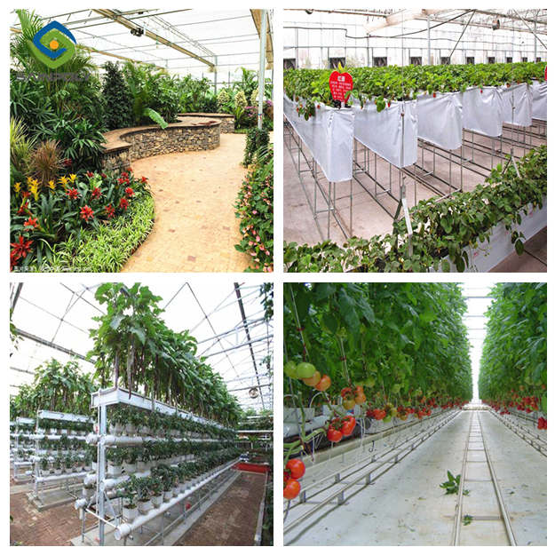 Shading System 6.0m Multi Span Greenhouse For Tomatoes