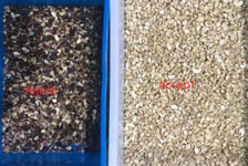 Cashew Processing Machine Cashew Sorting Machine Cashew Color Sorter Machine