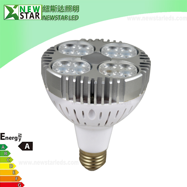 Classical 35W E27 LED PAR30 LIGHT with CE RoHs