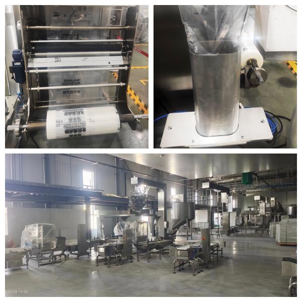 Waylead WL620 Vffs Packing Machine's Intelligent Production Solution Packaging Type Bags Film Pouch