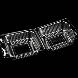 4 Individual Cake Slice Containers