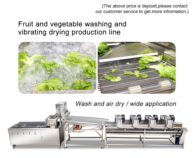 Fruit and vegetable washing and vibrating drying production line Fruit Vegetable FOOD processing production Machine Versatile and Durable Fruit